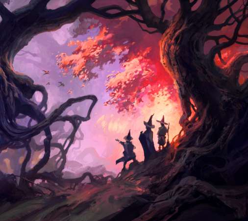 Andreas Rocha Mobiele Horizontaal achtergrond