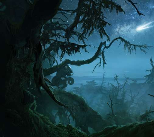 Sergey Vasnev Mobiele Horizontaal achtergrond