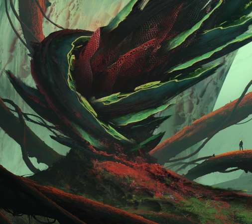 Tim Blandin Mobiele Horizontaal achtergrond