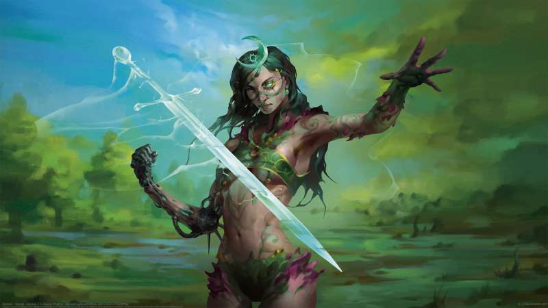 Berserk. Heroes. General 2 achtergrond