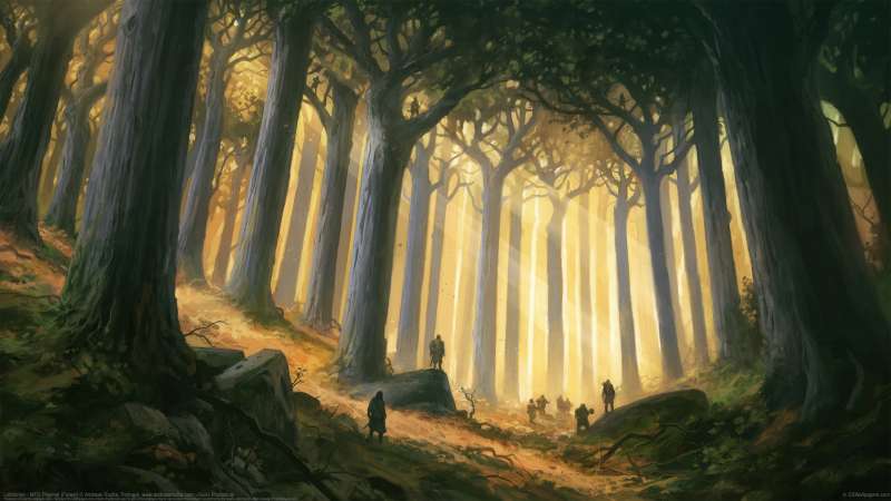 Lothl�rien - MTG Playmat (Forest) achtergrond