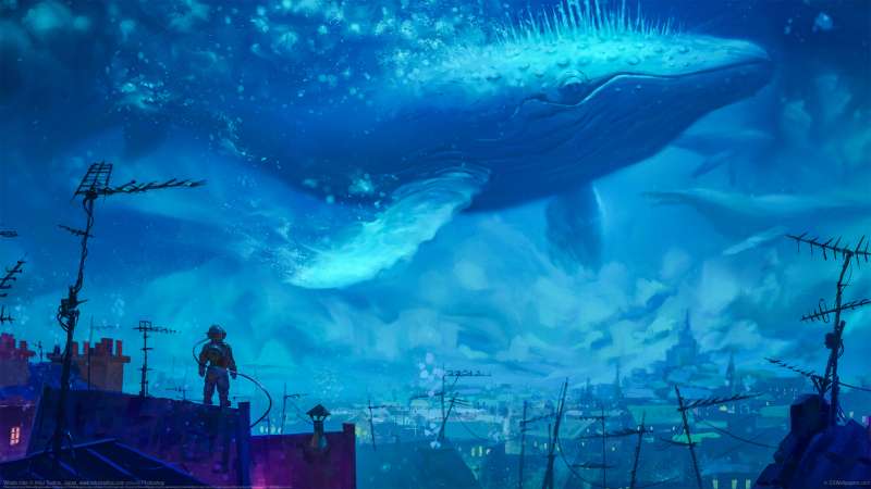 Whale Rider achtergrond