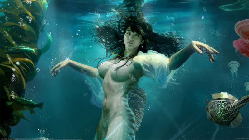 The South Mermaids achtergrond