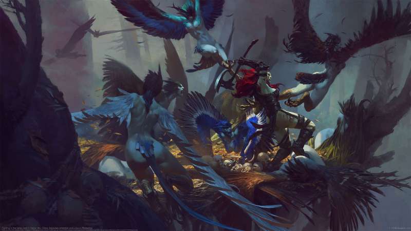 Fighting in the harpy nest  achtergrond