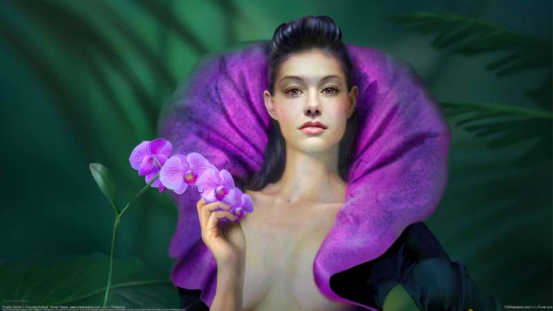 Purple Orchid achtergrond