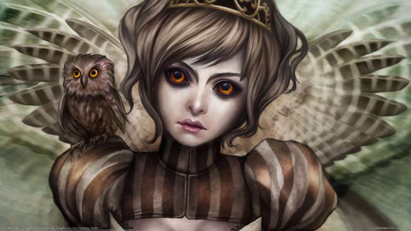 The Owl Princess achtergrond