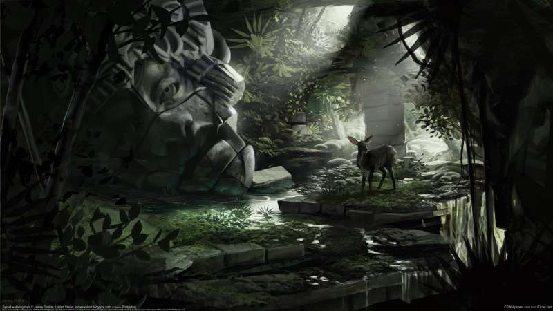 Secret watering hole achtergrond