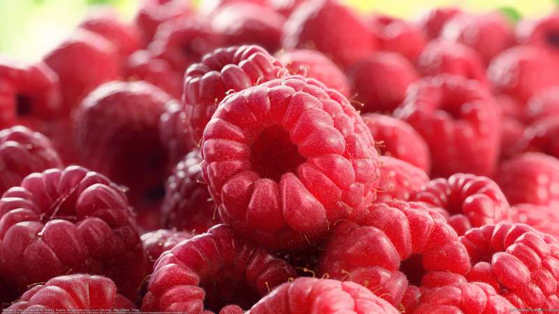 Raspberry Day achtergrond