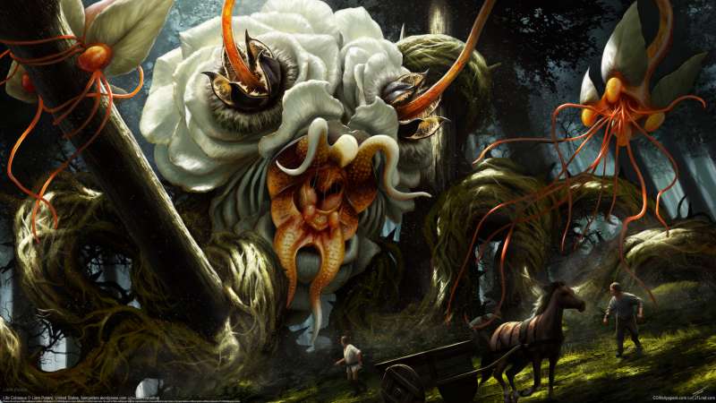 Life Colossus achtergrond