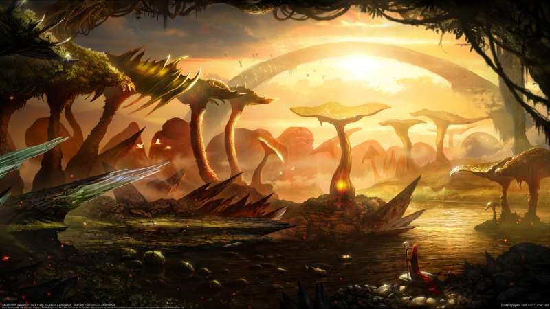 Mushroom swamp achtergrond