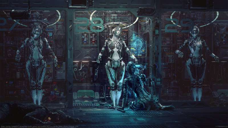 Sisters. Synthetic Compassion achtergrond