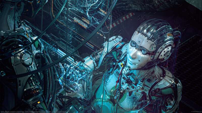 Sisters. Synthetic Compassion 2 achtergrond