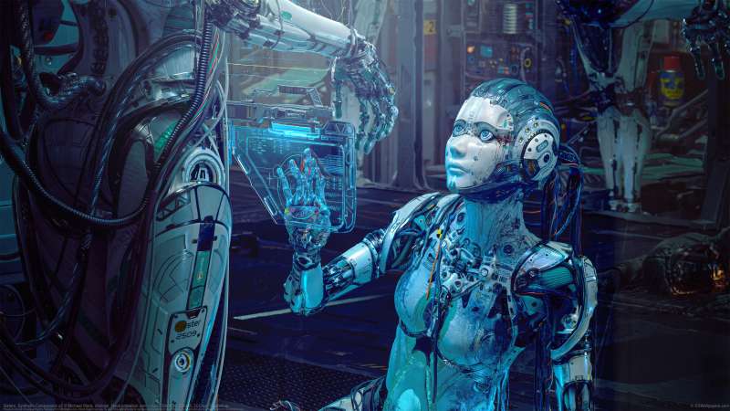 Sisters. Synthetic Compassion s2 achtergrond