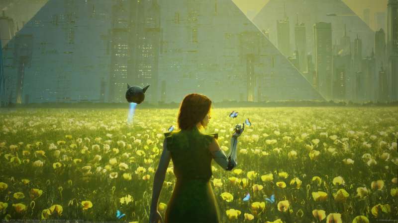 Canvas of life - Yellow achtergrond
