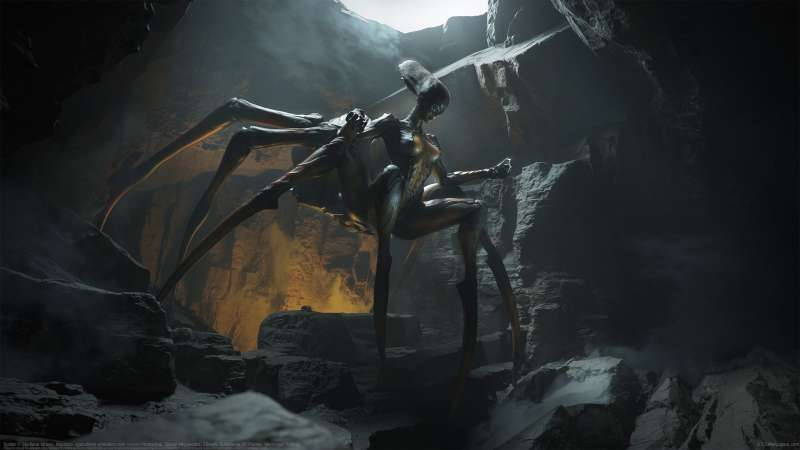 Spider achtergrond
