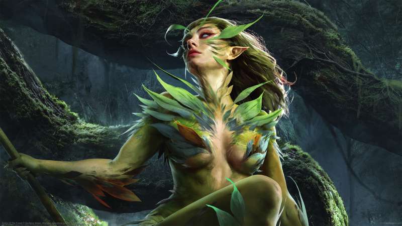 Sirens Of The Forest achtergrond