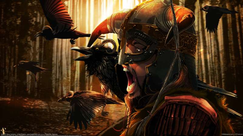 Raven achtergrond