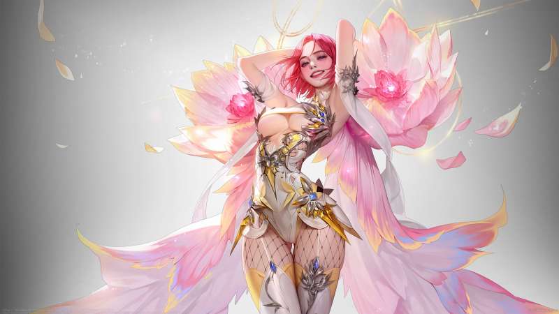 Lotus achtergrond