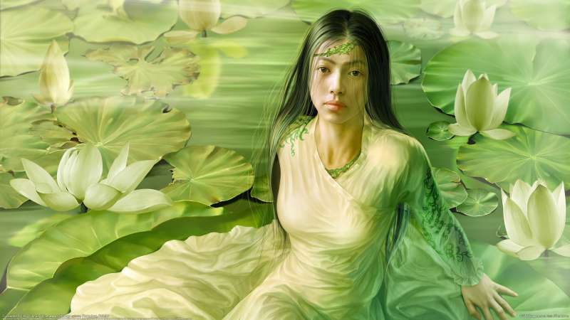 Duckweed achtergrond