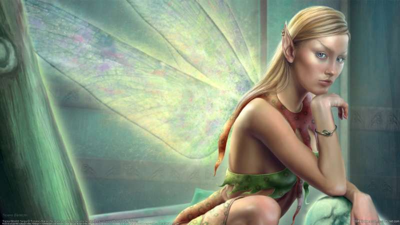 Topia World: Sinja achtergrond