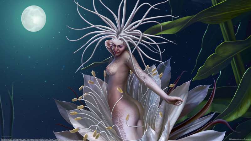 Dama de noche achtergrond