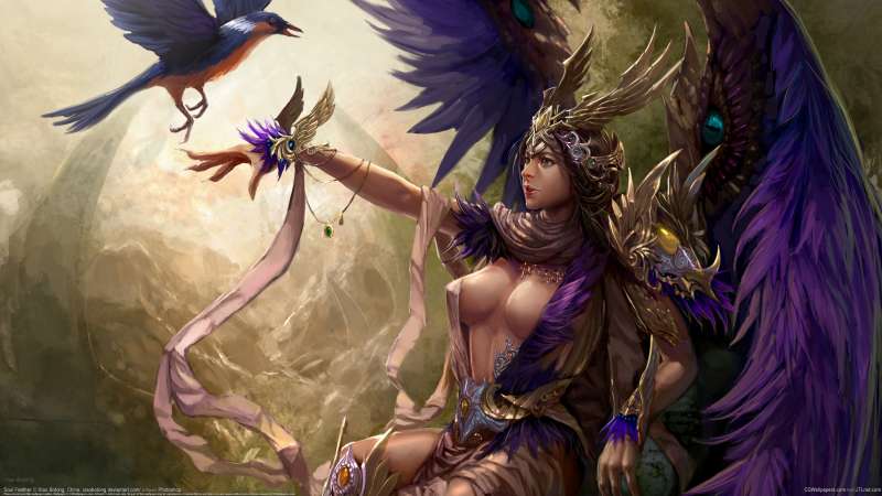 Soul Feather achtergrond