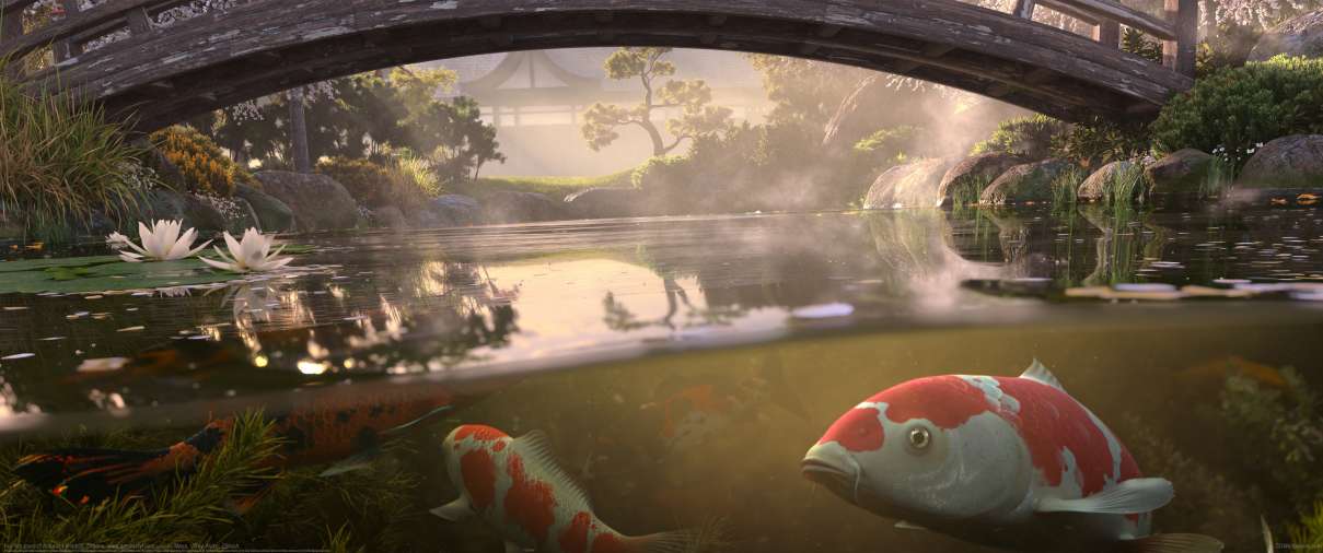 Koi fish pond ultrawide achtergrond