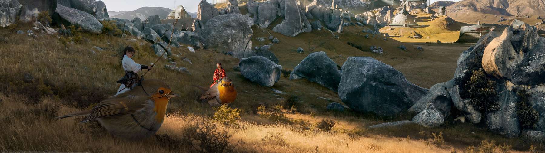 Bird Riders ultrawide achtergrond