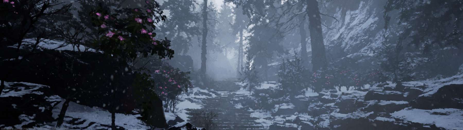 Kaidan: Project Hottan - Forest Path ultrawide achtergrond