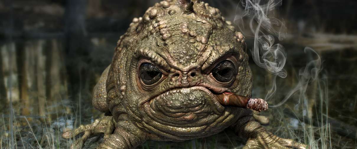 Grumpy frog ultrawide achtergrond