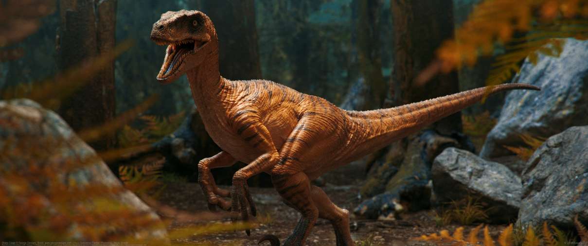Sharp Claws ultrawide achtergrond