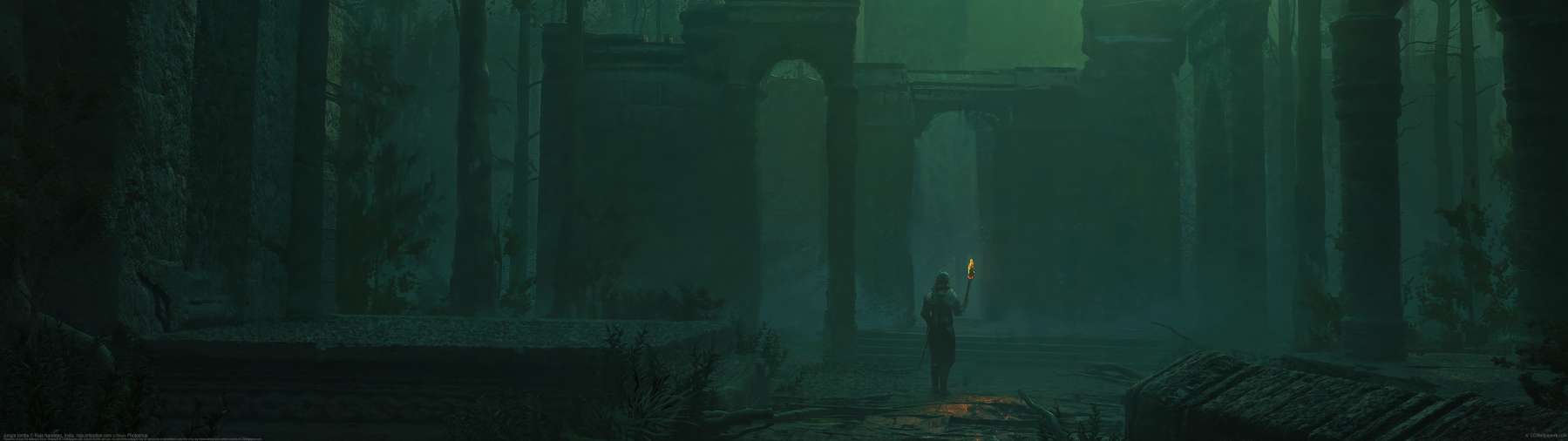 Jungle tombs ultrawide achtergrond