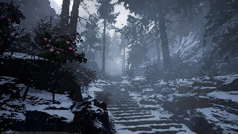 Kaidan: Project Hottan - Forest Path achtergrond