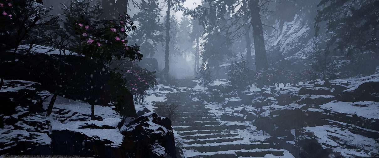 Kaidan: Project Hottan - Forest Path ultrawide achtergrond