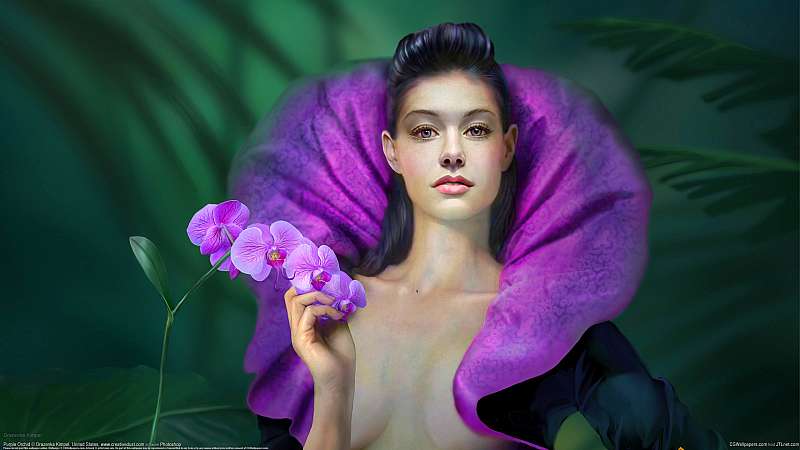Purple Orchid achtergrond