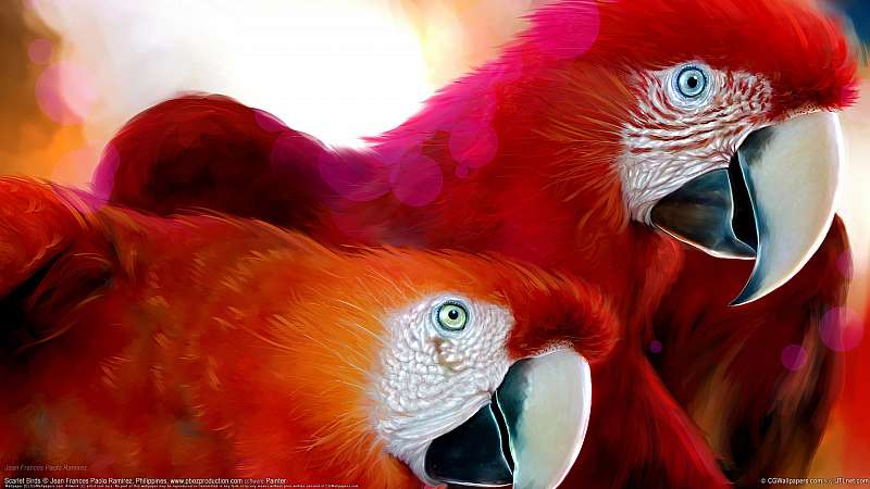 Scarlet Birds achtergrond