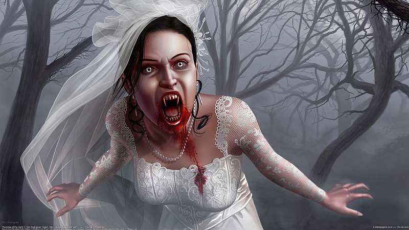 The bride of the night achtergrond