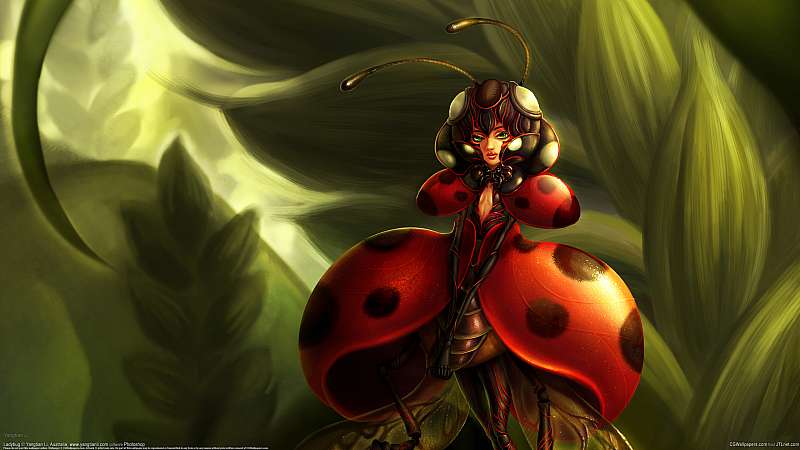 Ladybug achtergrond