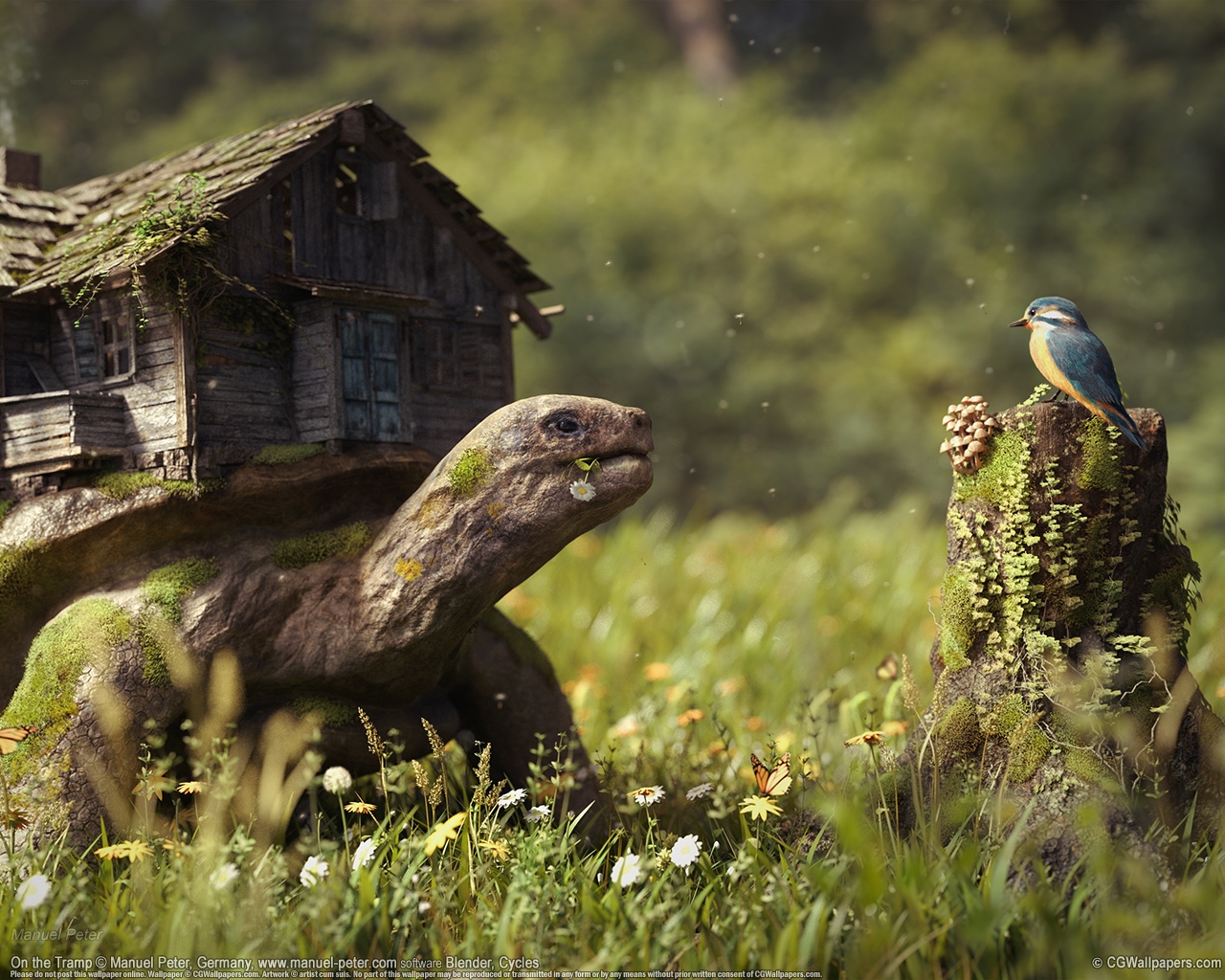 Manuel Peter 1280 achtergrond 02