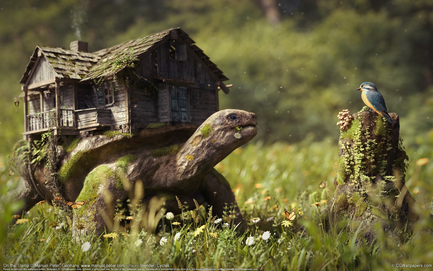 Manuel Peter 1440x900 achtergrond 02