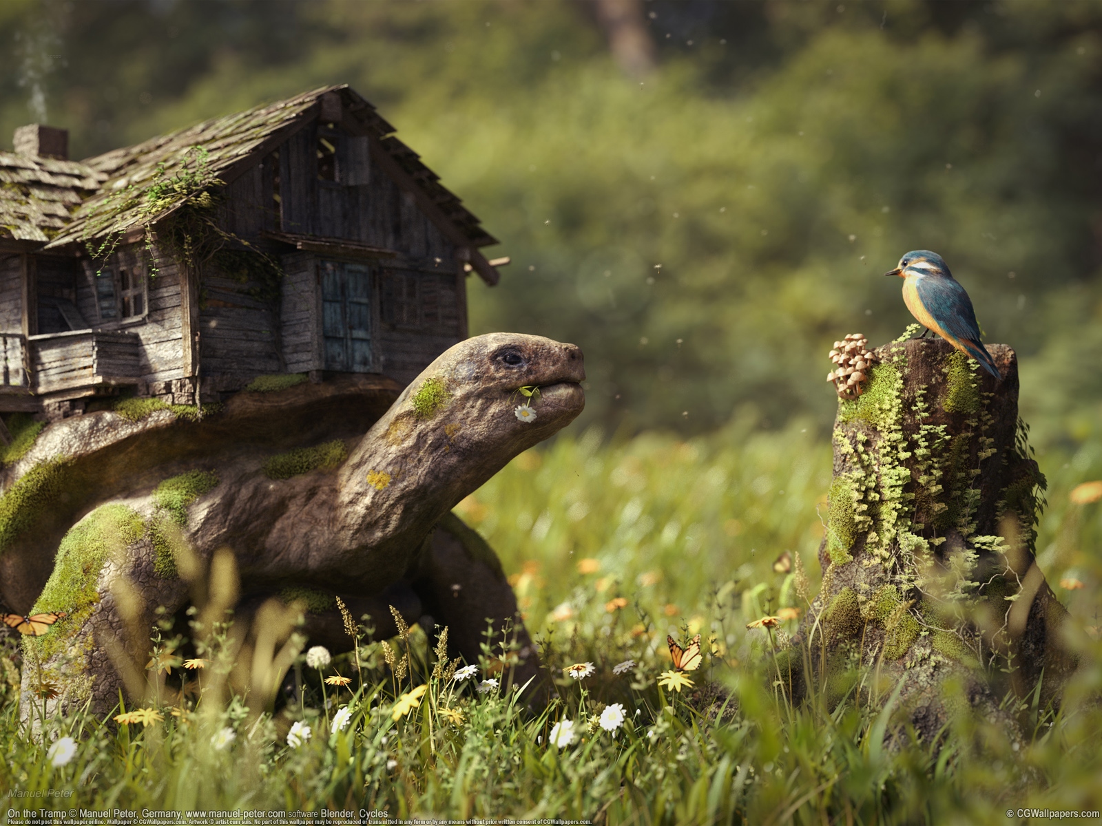 Manuel Peter 1600 achtergrond 02